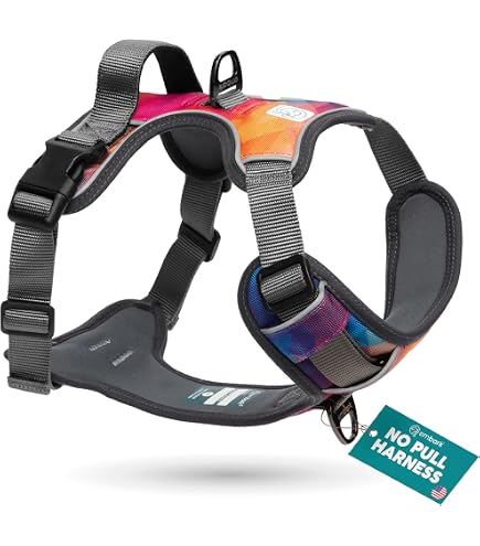 Amazon.com : Ruffwear, Hi & Light, Everyday Lightweight Dog